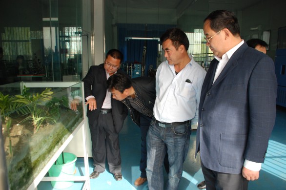 九州酷游「中国」官方网站