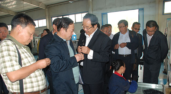 九州酷游「中国」官方网站