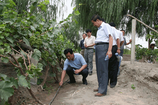 ���ݿ��Ρ��й����ٷ���վ