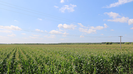 ���ݿ��Ρ��й����ٷ���վ