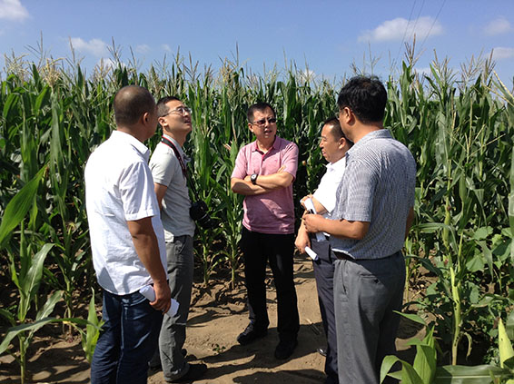 ���ݿ��Ρ��й����ٷ���վ