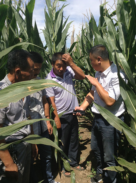 ���ݿ��Ρ��й����ٷ���վ