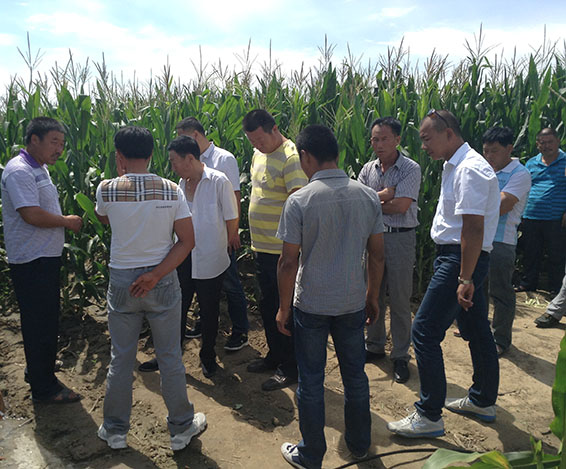 ���ݿ��Ρ��й����ٷ���վ