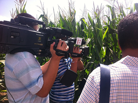 ���ݿ��Ρ��й����ٷ���վ