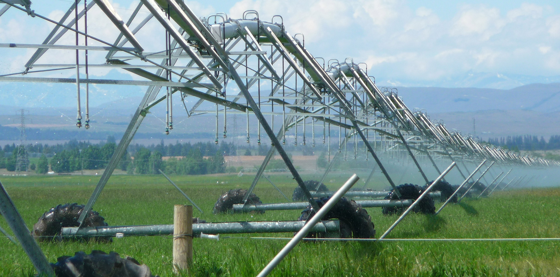 �Ծ��ݿ��ι�����ˮ���� �����ݿ��ι�����ˮ��ҵ