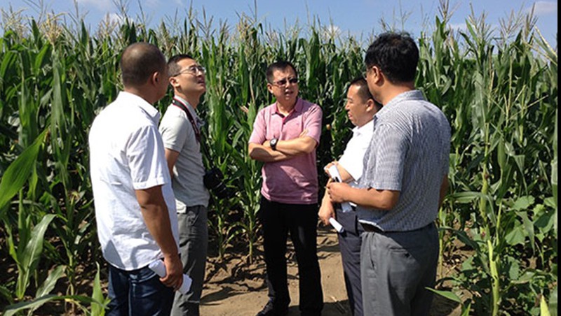 ���ݿ��ι�����ˮ���ż������׵���ʽ�ι�����Ч������