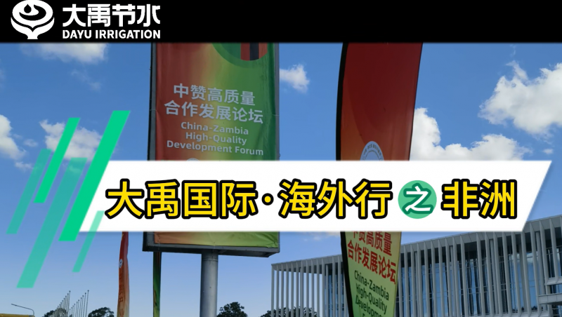 ���ݿ��ι������ʡ�������֮����