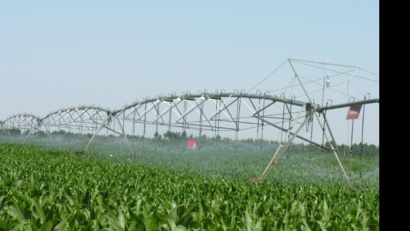 �����㶨ǧĶ����Ľ�����