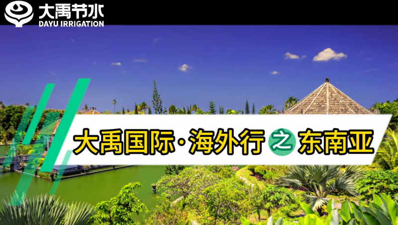 ���ݿ��ι�������������֮������