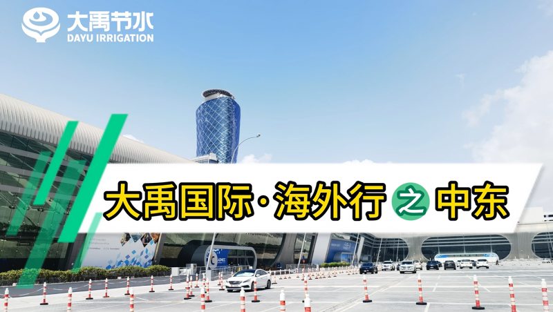 ���ݿ��ι������ʡ�������֮�ж�